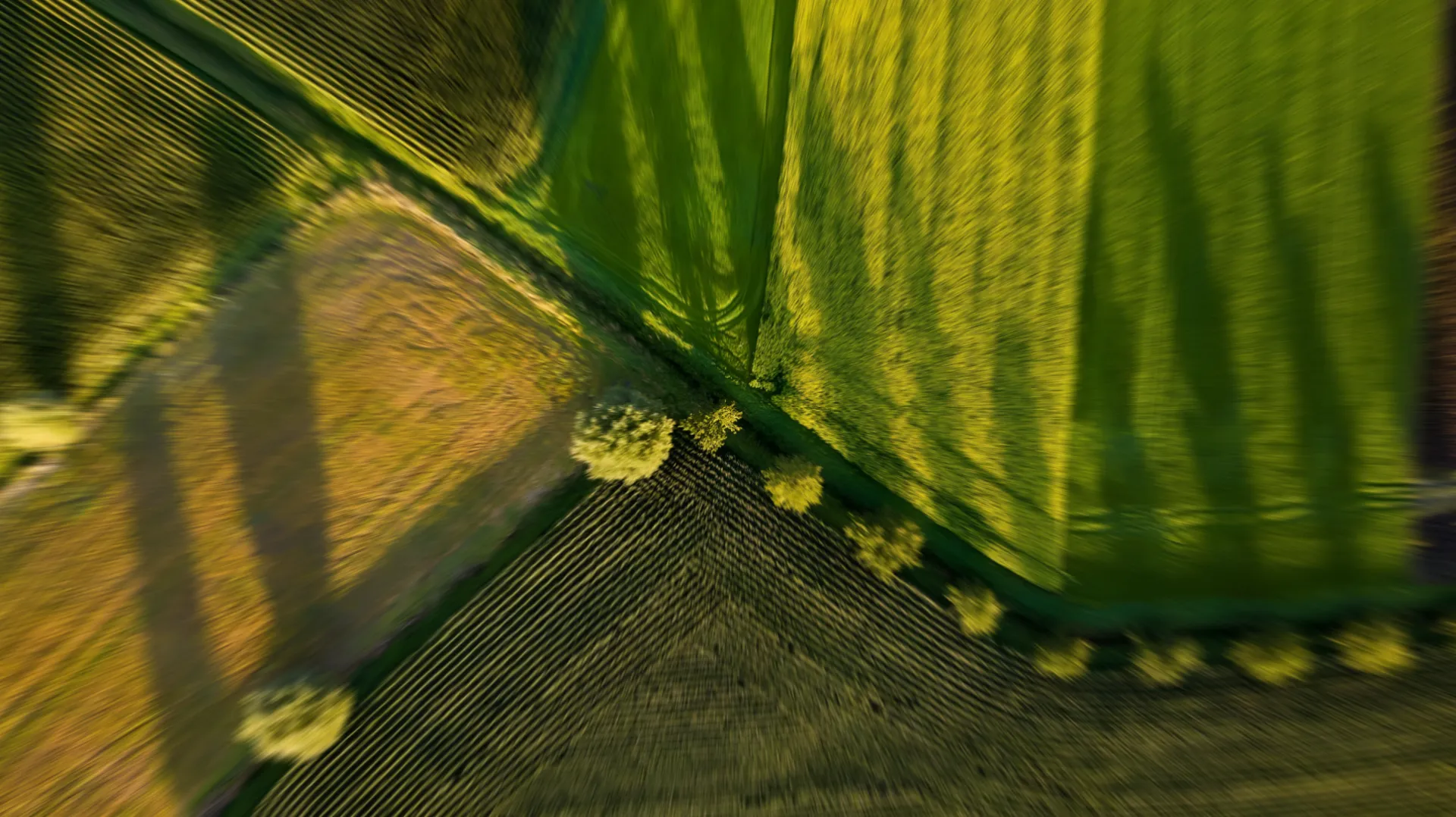 Aerial view of farmland